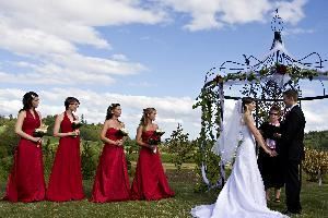 Always and Forever Wedding Ceremonies- Event Planning, Salem