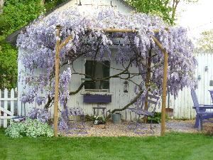 Julie Neal Visions of Honey, Hershey — Veiw of the studio garden in full bloom.
