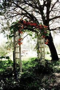 Celebration Park, Juniper Well Ranch, Prescott