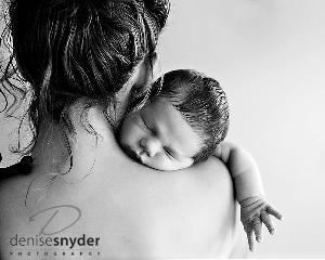 Denise Snyder Photography, Brick