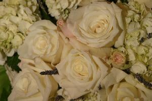 The Wedding Maker