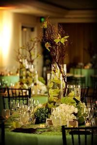 LiBella is a full service wedding planning & design company.  We specialize in upscale weddings that reveal your individual style and captivate your guests.

We also coordinate private parties, corporate events, rehearsal dinners and other special occasions.