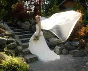 Michael Newcomb Photography