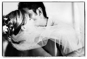 Foxtail Photography