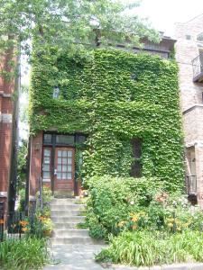 China Doll Guest House, Chicago — China Doll Guest House