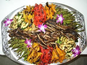 The Chef And Gardener Catering, Saco — Grilled Vegetable Display
