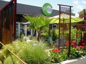 Café Caffeine, Cafe Caffeine, Austin — Our beautiful patio is a perfect setting for any meeting/event of up to 15 guests. Lush tropicals frame beautiful hand-fashioned screens and an amazing waterfall. An astonishing creation designed by local artist Faith Schexnayder.