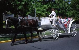 Elite Carriages, Rockford