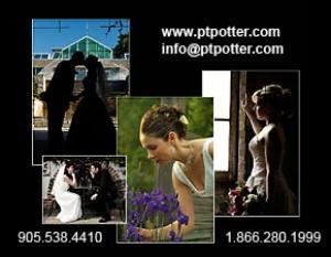 Photography by PT Potter, Hamilton