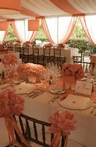 Serene Weddings and Events, Pompano Beach — Garden wedding under a beautiful curtain tent.