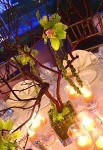 GREAT EXPECTATIONS EVENTS, Tucson