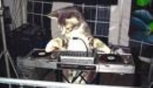 The Music Hutt DJ Service, Severn — Party Time