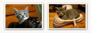 Ryan T. Conaty - Rhode Island Photographer