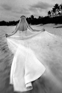 Winstead Photography, Inc., Raleigh