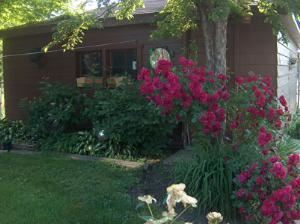 Garden, Among Friends, Family and Company, Evergreen Park
