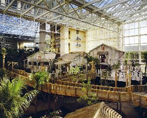 Captiva Room 1, Gaylord Palms Hotel Meeting & Event Space, Orlando