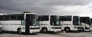 Miami Coach & Tours, Miami Beach — From the needs of small businesses to those of multinational corporations, we are intimately familiar with the complexities of today's professional travel. Let our skilled business travel consultants handle your itinerary -- because you've got more important things to worry about than the bumps in the road.

Complete travel management solutions 
Automated Quality Assurance 
Comprehensive reporting capabilities 
Reliable customer service