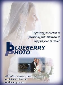 Blueberry Photo