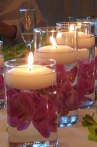 We provide professional quality services at affordable rates. Let us help you make YOUR next event special!