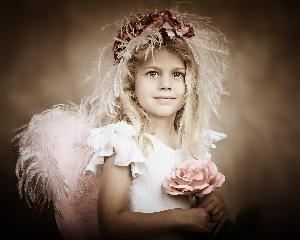 Marie Windt Photography, LLC, Vienna