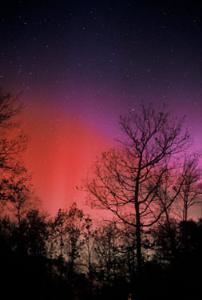 Ronale Zincone Photography