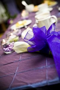All Occasion Celebrations, Simpsonville — Fuller-Gregory wedding. Color scheme: Pistachio and Royal Purple