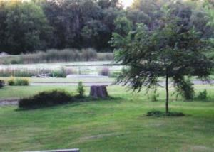 Outdoor Venue, Cottonwood Cottage, Palo