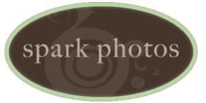Spark Photos, Cincinnati — All-inclusive wedding day photography priced $550-$750. For every wedding, Spark Photos uses pure digital, state-of-the-art professional Canon equipment. Multiple cameras, multiple lenses, and a full-range of fresh creativity is brought to every session. Mandy Nagel is the lead photographer and will be the one to arrive on your wedding day. If your wedding requires more than one photographer, Spark Photos has several professional photographers who are available to assist on your big day.