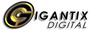 Gigantix Digital, Phoenix — If a picture says a thousand words, what does a video say? We do it all, from High Definition Cameras, editing, and DVD mastering to Rental Projectors/Screens. Our vast experience with live events has taught us that you only get "one shot," trust us to get it right. Check out our Special 4 hr Live Event Video Package for just $899! Includes either 2 Digital (Standard) Cameras or 1 High Definition Camera, Basic Editing, 3 DVD's or VHS tapes.  Or reserve our Audio/Visual rental package for Corporate Meetings, Parties, Weddings, Concerts, even a Dive-In Movie or Backyard Theater for only $249!