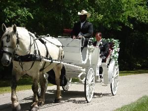 Southern Carriage Company, Houston — Horse Drawn Carriage Service