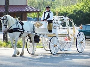 The Princess's Carriage, Rose Bud