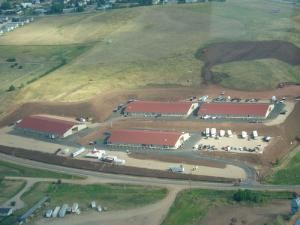 Iron Horse Inn