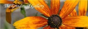 The Grindstaff Gallery