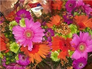 Palmetto Party Planners