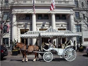 Carriages Of The Capital, Washington — Elegant horse-drawn carriage waits at the Willard Hotel in Washington, DC.  Carriage provided by Carriages of the Capital (www.CarriagesoftheCapital.com).
