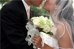 Willow Photography, Longwood