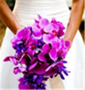 Event Jolie Wedding & Event Planning, West Palm Beach — Fresh, fun and experienced... isn't that what you want in a wedding & event planner? That's what we are at Event Jolie. Heather Woodworth has a background in design, a knack for budgets and she loves what she does. She can help you plan your wedding or event, whether on a budget or not, better than you dreamed of. Her focus with clients is on personalization that fits their style and budget. We are not a franchise or an "expensive" event planner. Our goal is to "save" you money with vendor relationships and industry knowledge. You will receive valuable, professional, cutting-edge advice...