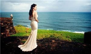 Steve Lee Weddings