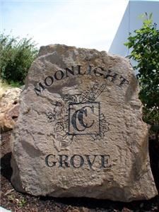 The Moonlight Grove - Wedding Ceremony, Chardonnay Golf Club, Napa