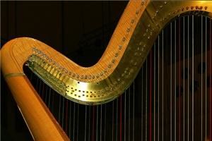 Harp Music For Any Occasion, Houston
