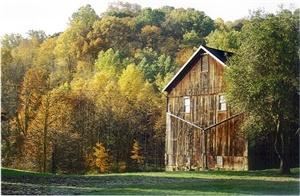 The Conrad Botzum Farmstead, The Conrad Botzum Farmstead, Akron — East end of 1898 Bank Barn in the early Autumn.