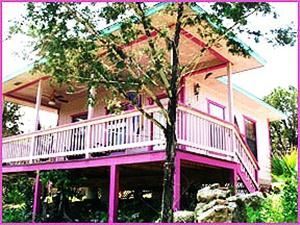 Lost Parrot Cabins, Austin