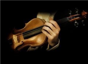 CelebrationMusicians.com, Miami