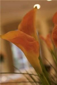 April's Floral Expressions, Charlotte