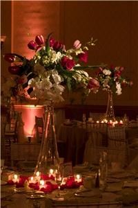 Cheryl's Distinctive Creations, Orlando — Elegant centerpieces of Hydrangea, Orchids, Viburnum and French Tulips surrounded by Rose petals and votives.