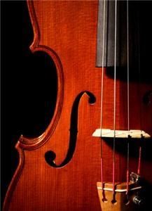 Amati Strings, Tulsa — Amati Strings brings together Tulsa’s finest musicians to make your wedding or special event one to remember.  Choose from a number of elegant string combinations including quartets, trios, duos, or solo piano. We proudly offer the highest quality classical music to create an atmosphere of refinement and taste that will leave your guests with a lasting impression.