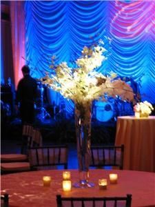 Charleston Flower Market Inc, Charleston — Known for our years of experience, creativity and unique style, Charleston Flower Market has attracted the attention of numerous brides and celebrity clients. From single stems to full scale floral design, let our innovative designers help you choose the perfect flowers for your wedding and a style that is custom made for you.  www.cfmweddings.com