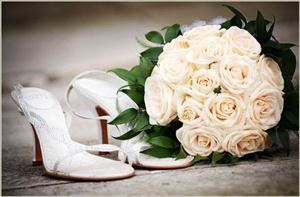 In True Colors Photography, Sarasota
