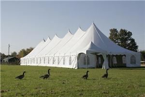 Absolute Tent & Event Services, Toronto