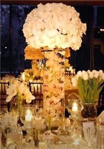 The Bridal Network of Virginia, Chesapeake